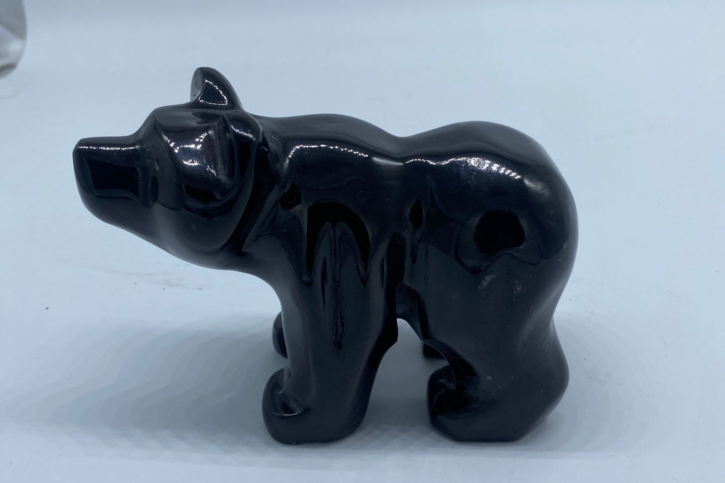 Onyx Bear from Mexico