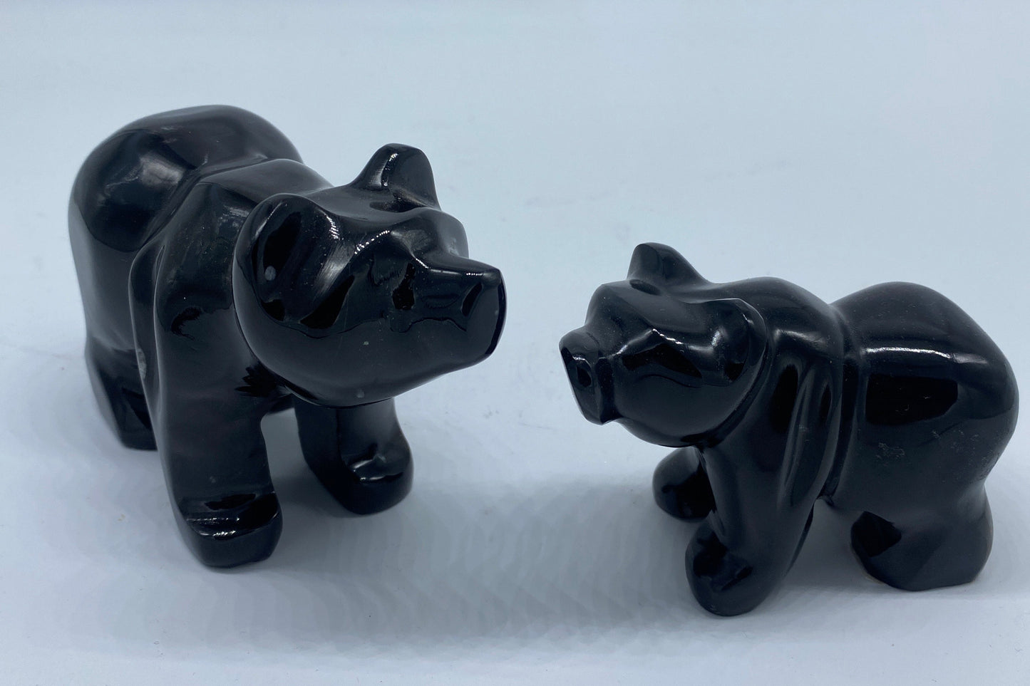 Onyx Bear from Mexico