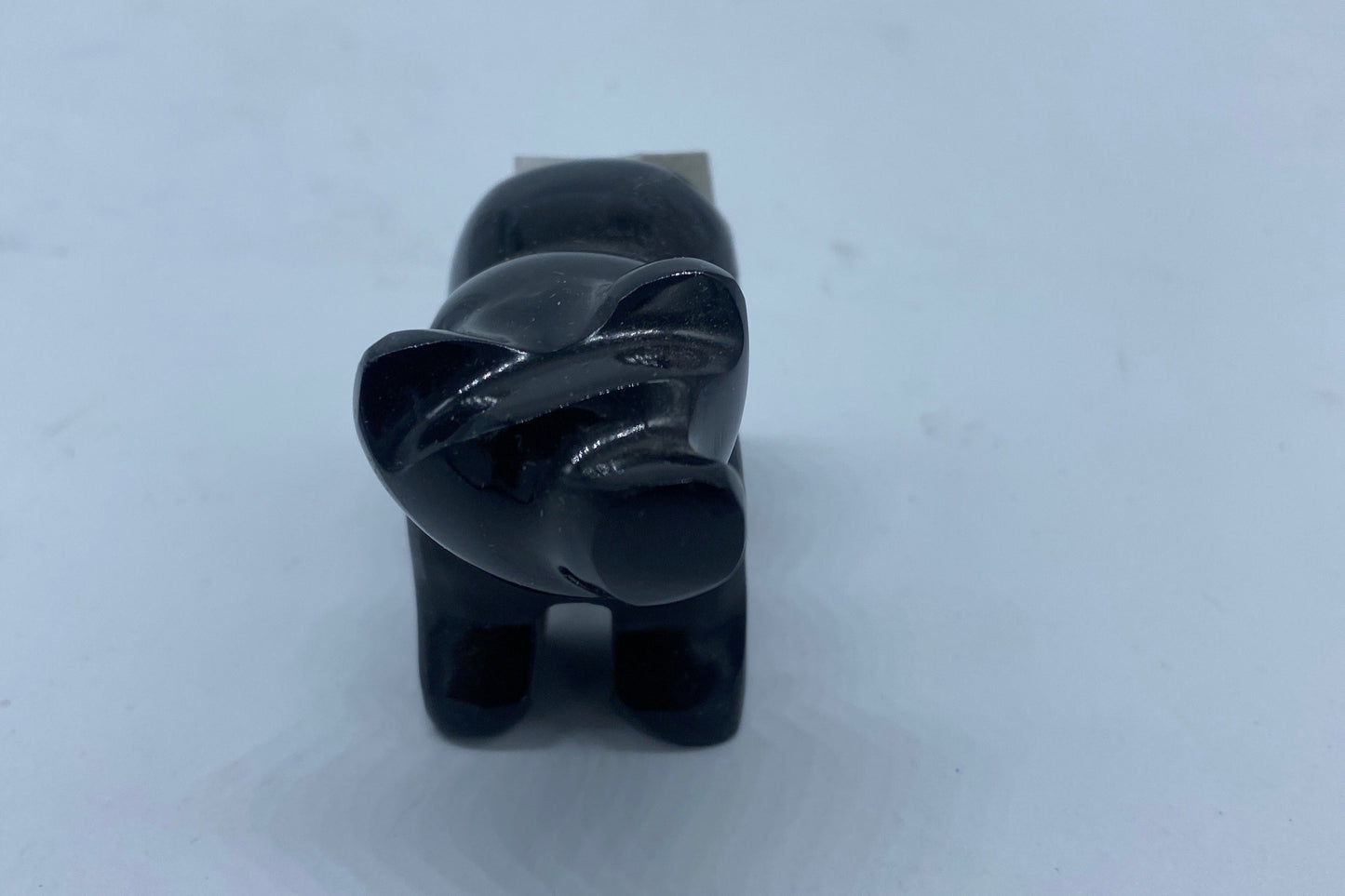 Onyx Bear from Mexico